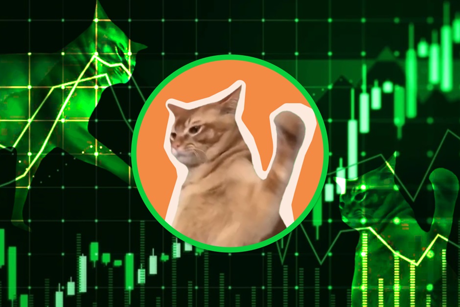 Catslap (SLAP)涨势猛 价格攀升至$0.0033
