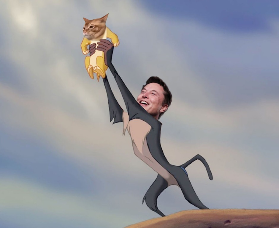 1月14日 Catslap $100k 排行榜揭晓 抄底买家瞄准 $SLAP
